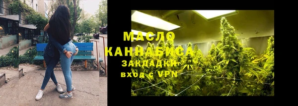 дмт Бердск